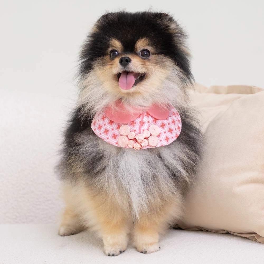 Ohpopdog Dog Cape (Ruby) dog clothes,dog sweater,fashionable dog wear