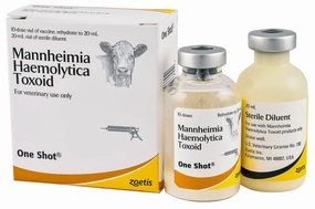 One Shot Pasteurella Vaccine for Cattle gourmet cat wet food,chicken in broth cat,fish recipe cat food