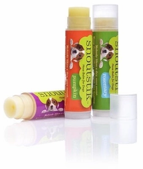 Organic Snoutstik Nose Balm for Dogs - Assorted Flavors treat storage jar,dog treat container,pet snack jar