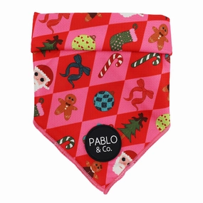 Pablo & Co Christmas Cheer: Bandana english tack set,horse saddle gear,equestrian supplies