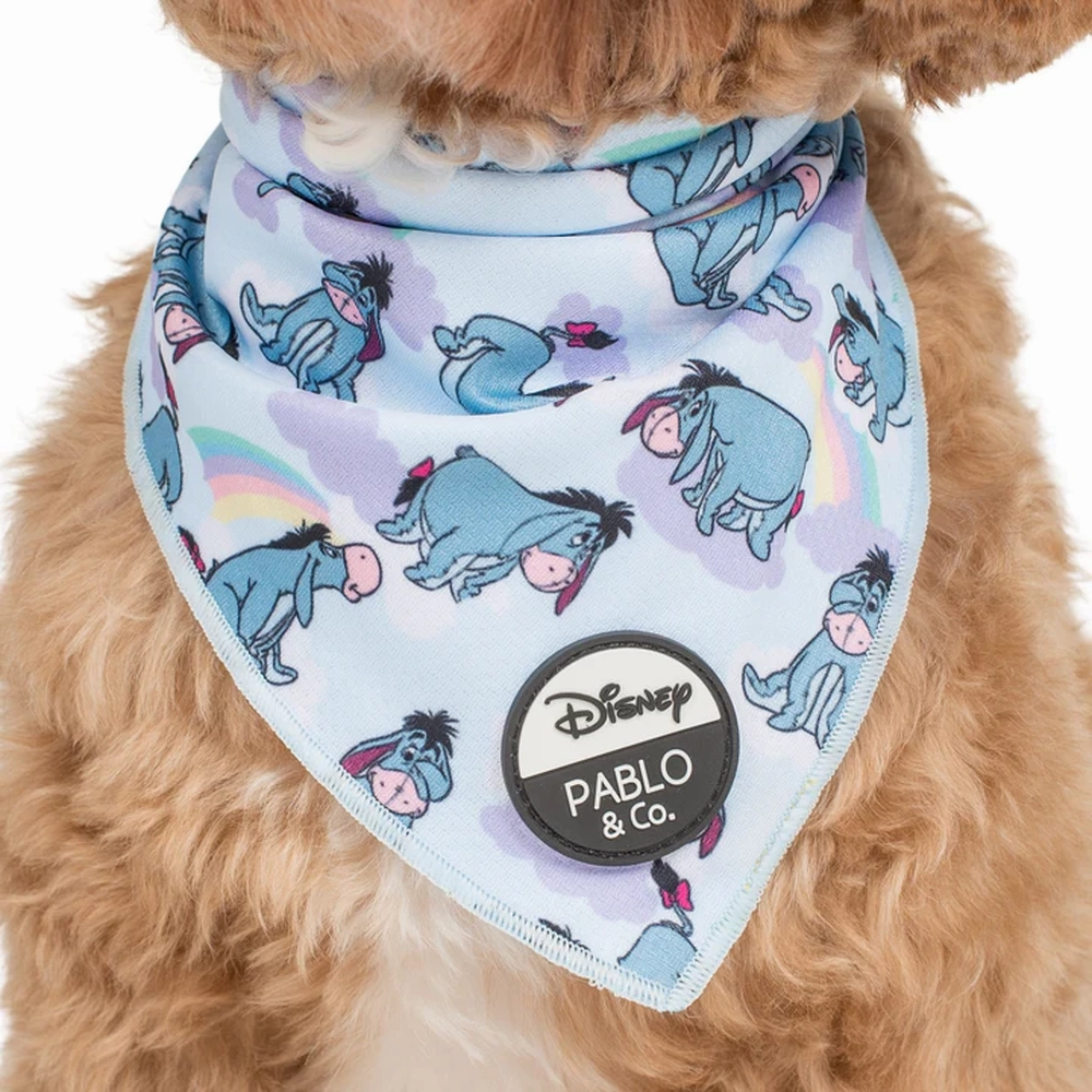 Pablo & Co Eeyore: Bandana english tack set,horse saddle gear,equestrian supplies