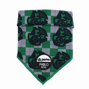 Pablo & Co Harry Potter Slytherin: Dog Bandana english tack set,horse saddle gear,equestrian supplies