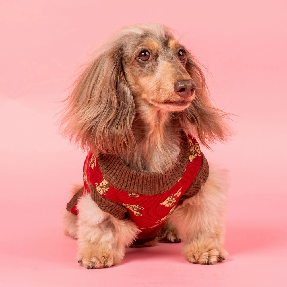 Pablo & Co Henry Bear Sweater