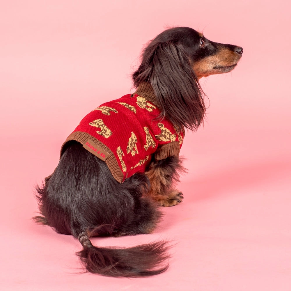 Pablo & Co Henry Bear Sweater
