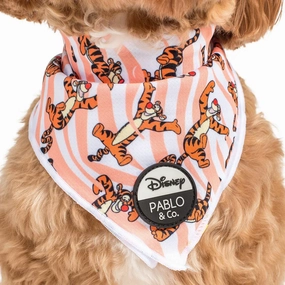Pablo & Co One of a Kind Tigger: Bandana english tack set,horse saddle gear,equestrian supplies
