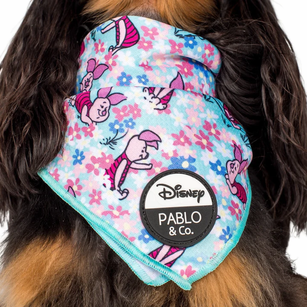Pablo & Co Piglet: Bandana english tack set,horse saddle gear,equestrian supplies