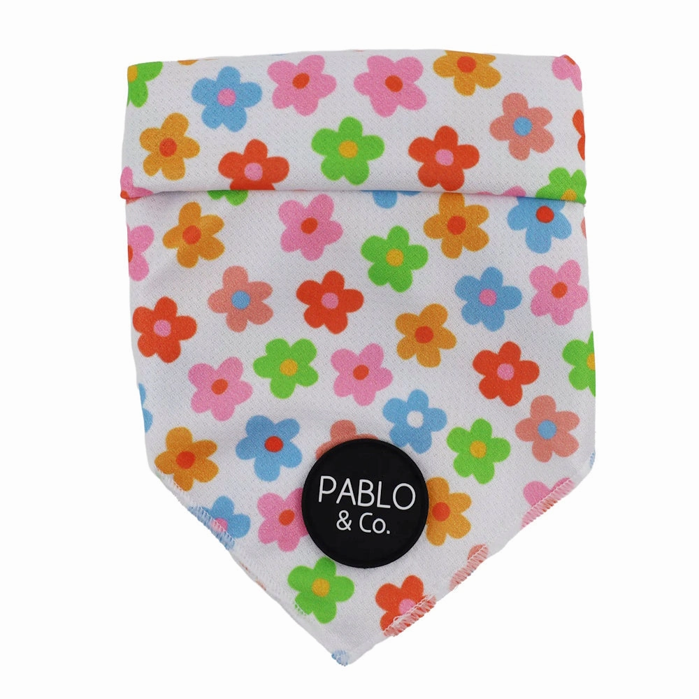 Pablo & Co Posey Dog Bandana english tack set,horse saddle gear,equestrian supplies