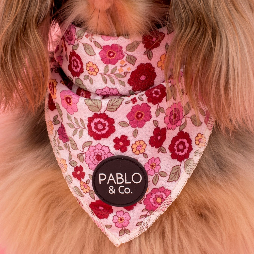 Pablo & Co Primrose Dog Bandana