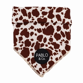 Pablo & Co Rodeo Bandana english tack set,horse saddle gear,equestrian supplies