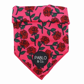 Pablo & Co Rosie Bandana english tack set,horse saddle gear,equestrian supplies