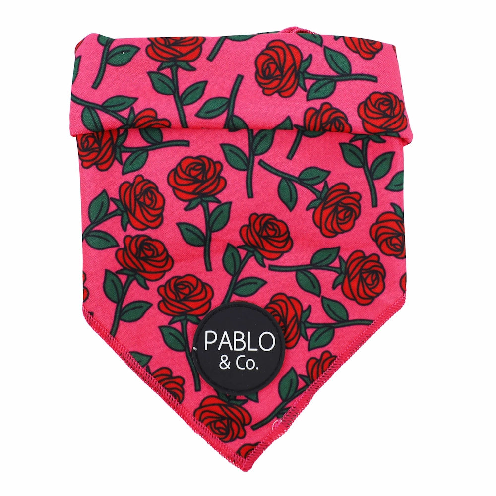 Pablo & Co Rosie Bandana english tack set,horse saddle gear,equestrian supplies