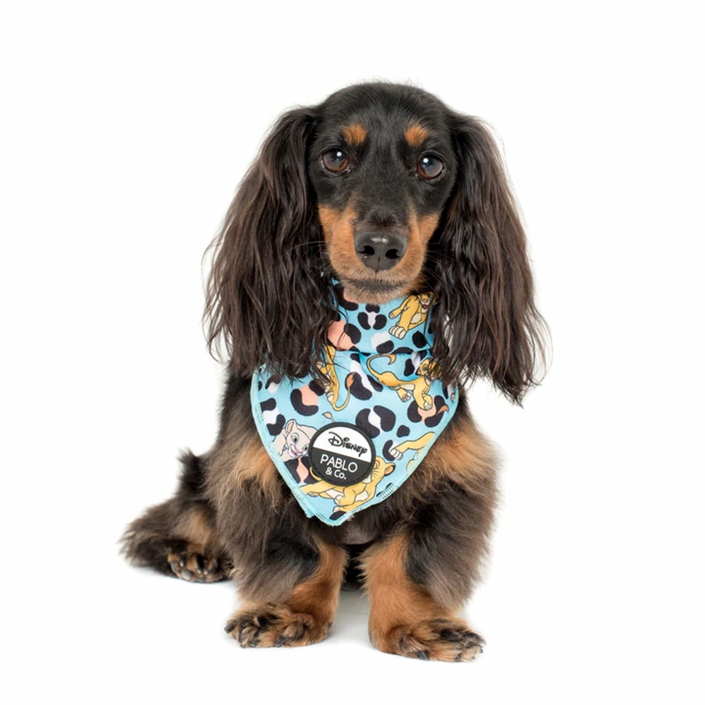 Pablo & Co The Lion King: Bandana english tack set,horse saddle gear,equestrian supplies