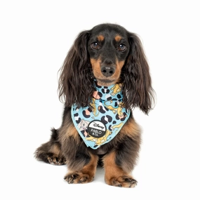 Pablo & Co The Lion King: Bandana english tack set,horse saddle gear,equestrian supplies