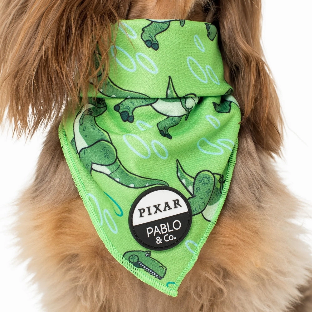 Pablo & Co Toy Story - Rex: Bandana english tack set,horse saddle gear,equestrian supplies