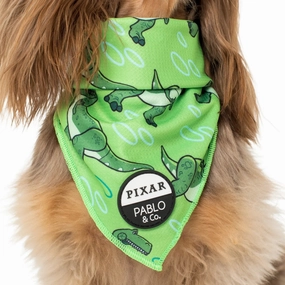 Pablo & Co Toy Story - Rex: Bandana english tack set,horse saddle gear,equestrian supplies