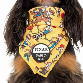 Pablo & Co Toy Story - Woody's Roundup: Bandana english tack set,horse saddle gear,equestrian supplies