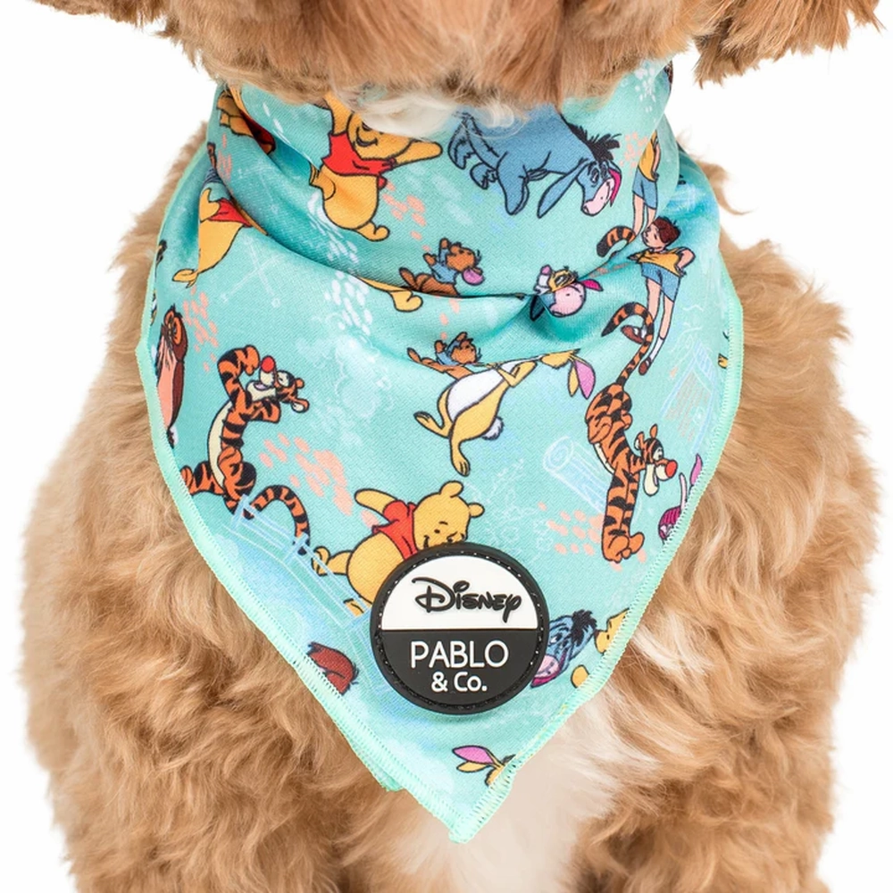 Pablo & Co Winnie the Pooh & Forest Friends: Bandana english tack set,horse saddle gear,equestrian supplies