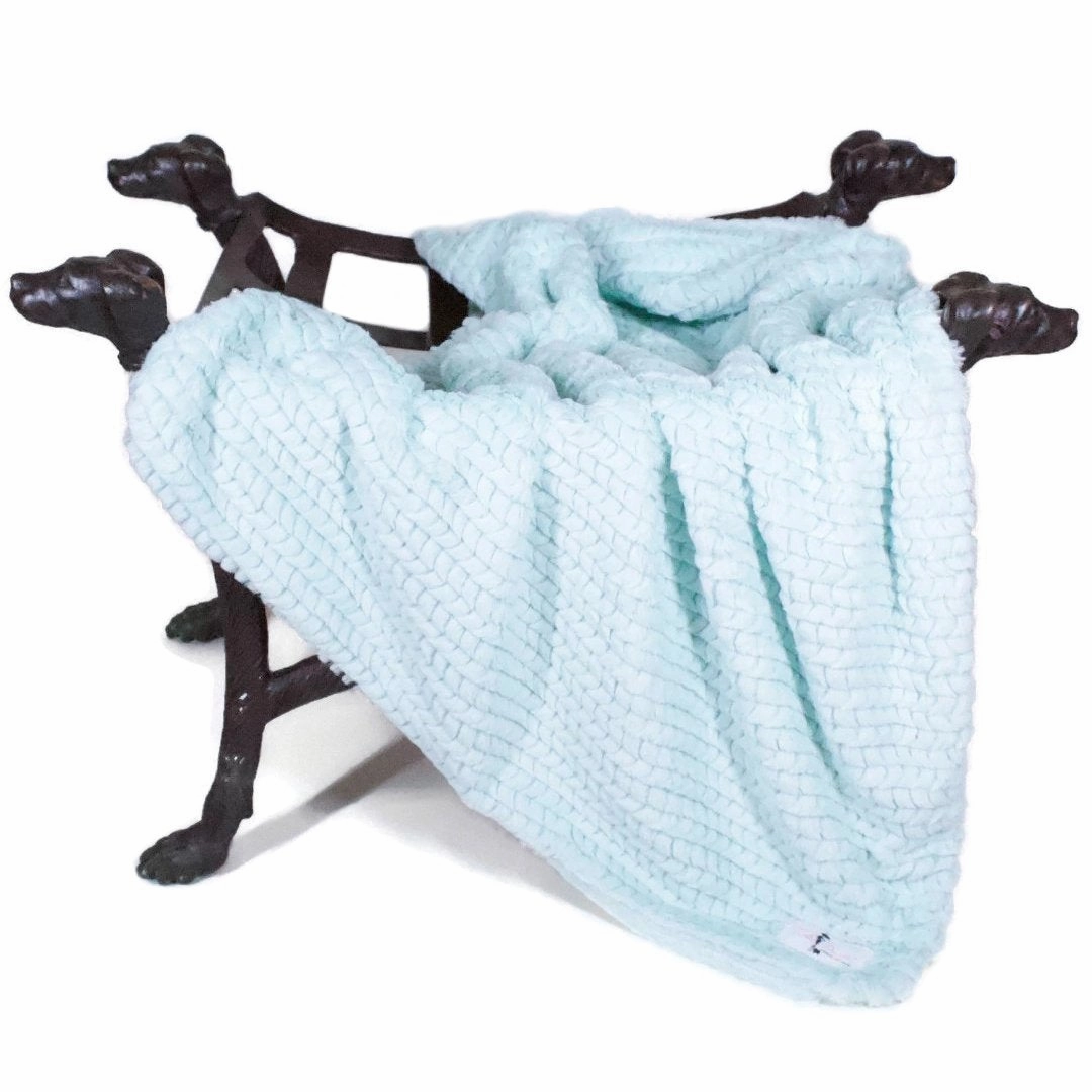 Paris Dog Blanket Ice fleece dog blanket,soft dog throw,cozy pet blanket