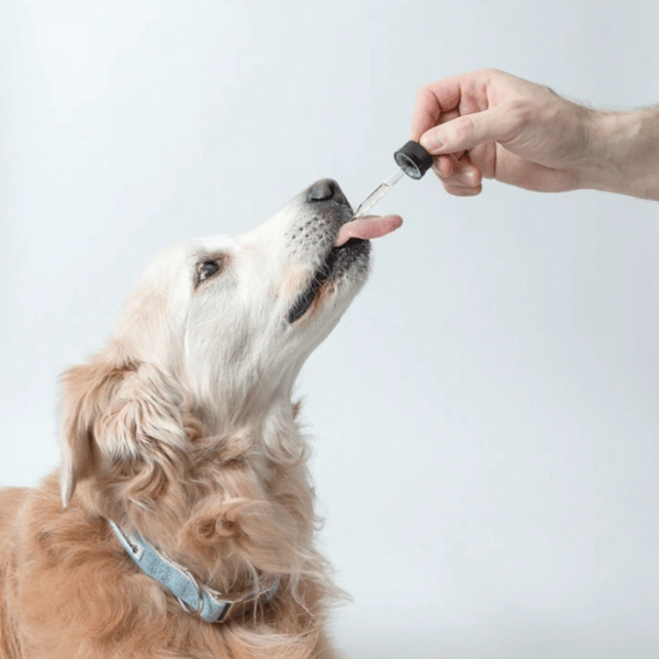 Pawtanical PawDaily Full Spectrum Health Oil For Pets