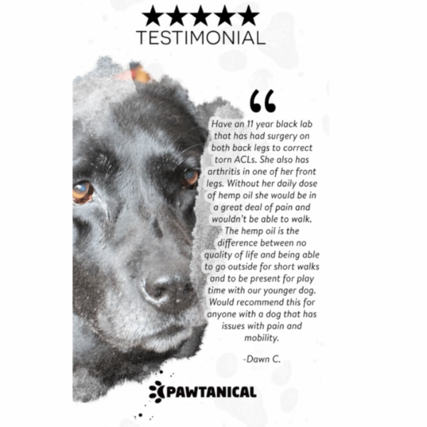 Pawtanical PawDaily Full Spectrum Health Oil For Pets