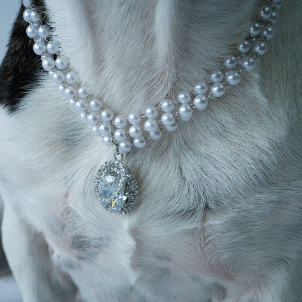 Pearl And Oval Jewel Pendant Dog Necklace