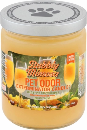 Pet Odor Exterminator Candle, Bubbly Mimosa, 13 oz cat odor control,cat litter deodorizer,cat cleaning wipes