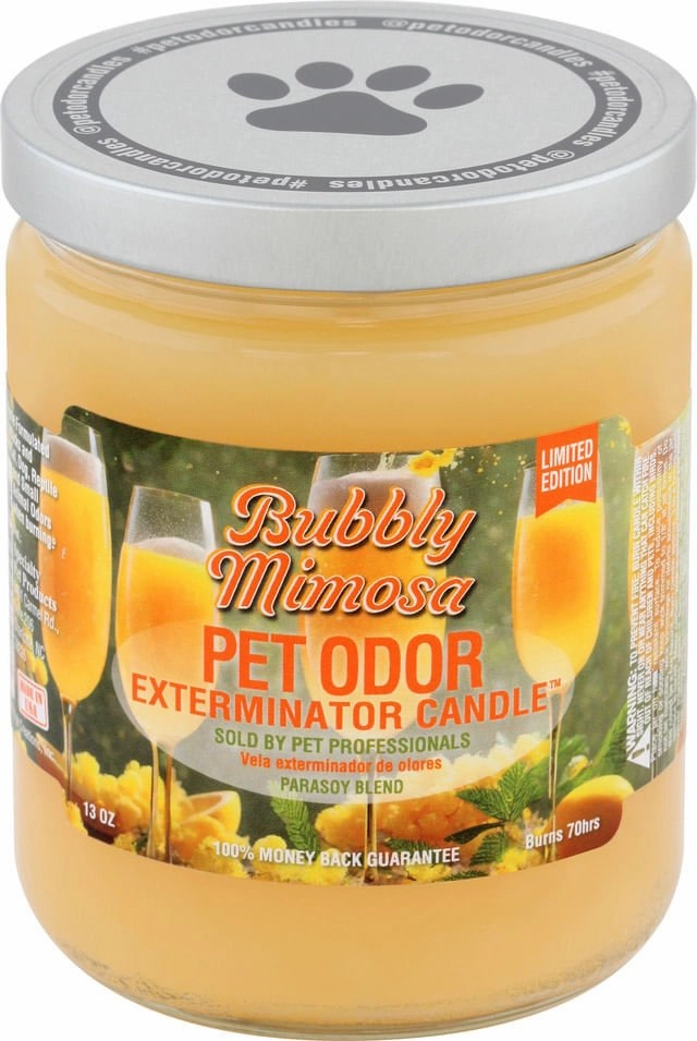 Pet Odor Exterminator Candle, Bubbly Mimosa, 13 oz cat odor control,cat litter deodorizer,cat cleaning wipes
