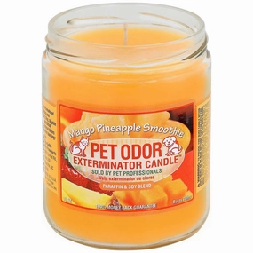 Pet Odor Exterminator Candle, Mango Pineapple Smoothie, 13 oz cat odor control,cat litter deodorizer,cat cleaning wipes