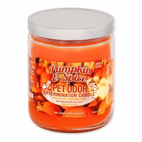 Pet Odor Exterminator Candle, Pumpkin & Spice, 13 oz cat odor control,cat litter deodorizer,cat cleaning wipes