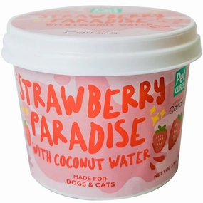 PetCubes Strawberry Paradise Sorbet Frozen Ice Cream for Dogs & Cats 3.5oz raw pet food,frozen meat dog,raw feeding dog