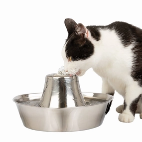 PetSafe Seaside Stainless Pet Fountain cat food bowl,cat feeder,elevated cat dish
