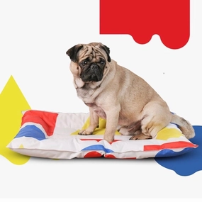 Pidan Ice Cream Pet Bed orthopedic dog bed,large dog bed,washable dog bed