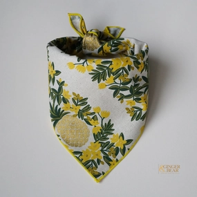 Pineapple Daffodil, Dog Bandana performance harness,agility dog vest,athletic dog gear
