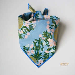 Pineapple Periwinkle, Dog Bandana performance harness,agility dog vest,athletic dog gear