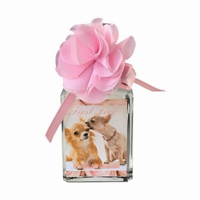 Pupcake Dog Perfume First Love dog brush,grooming comb,pet trimming kit