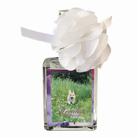Pupcake Dog Perfume Meadow dog brush,grooming comb,pet trimming kit