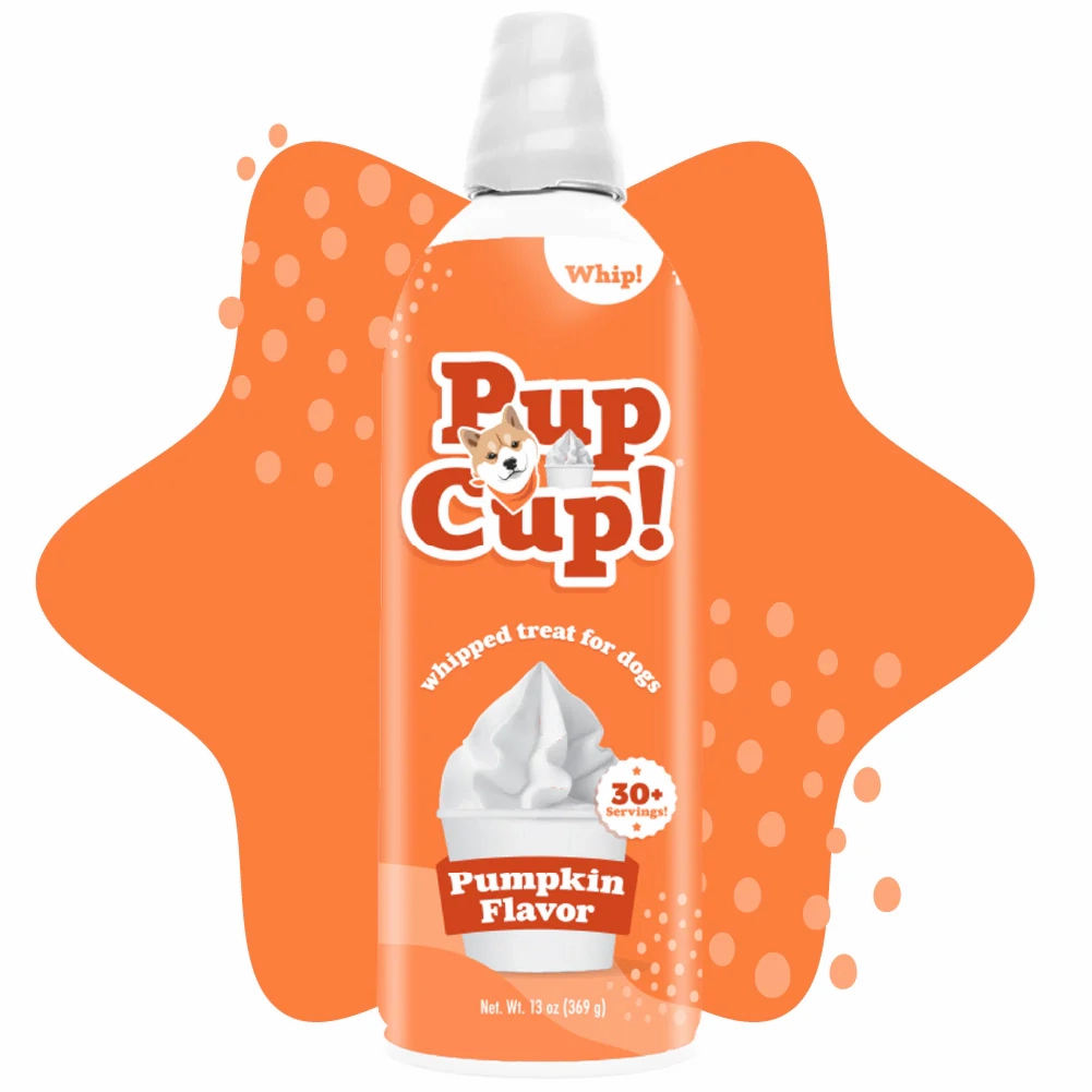 PupCup Frozen Whipped Treat for Dogs - Pumpkin Flavor 13oz stainless steel bowl,metal pet feeder,steel water dish