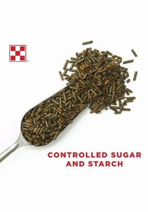 Purina Strategy Healthy Edge Horse Feed