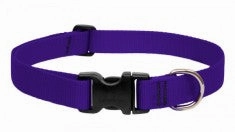 Purple Collar dog harness and leash,reflective dog collar,pet walking gear
