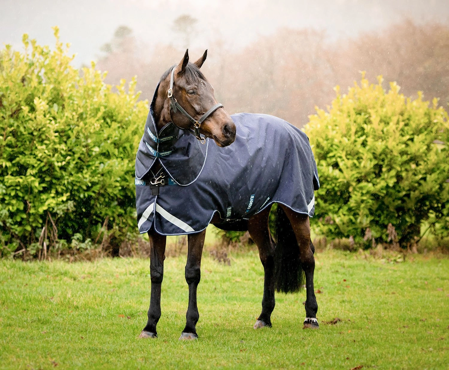 Rambo Duo Force Turnout Blanket, 100 Gram Outer with 100 Gram & 300 Gram Liner, Navy horse blanket,poultry bed sheet,equine sheets
