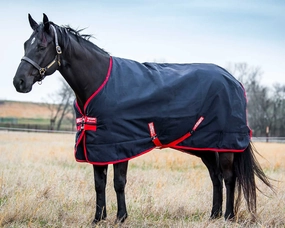 Rambo Original Medium Blanket w/ Bag for Life horse blanket,poultry bed sheet,equine sheets
