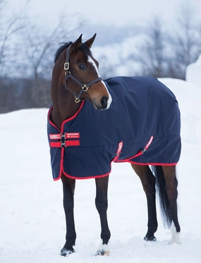 Rambo Original Medium Weight Horse Turnout Blanket horse blanket,poultry bed sheet,equine sheets
