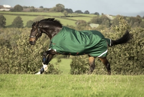 Rambo Original with Leg Arches, 100 Gram, Green/Red horse blanket,poultry bed sheet,equine sheets