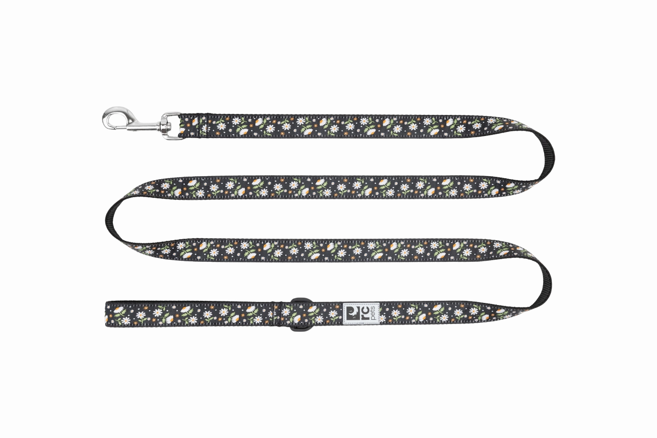 RC Pets Patterned Dog Leash 1/2"x6' - Daisies