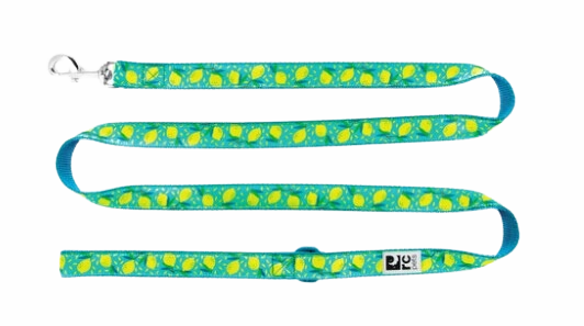 RC Pets Patterned Dog Leash 1/2"x6' - Lemonade