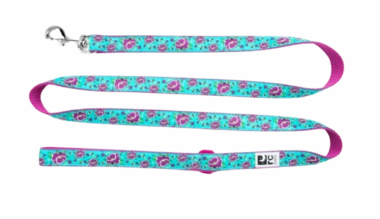 RC Pets Patterned Dog Leash 1"x6' - All The Buzz