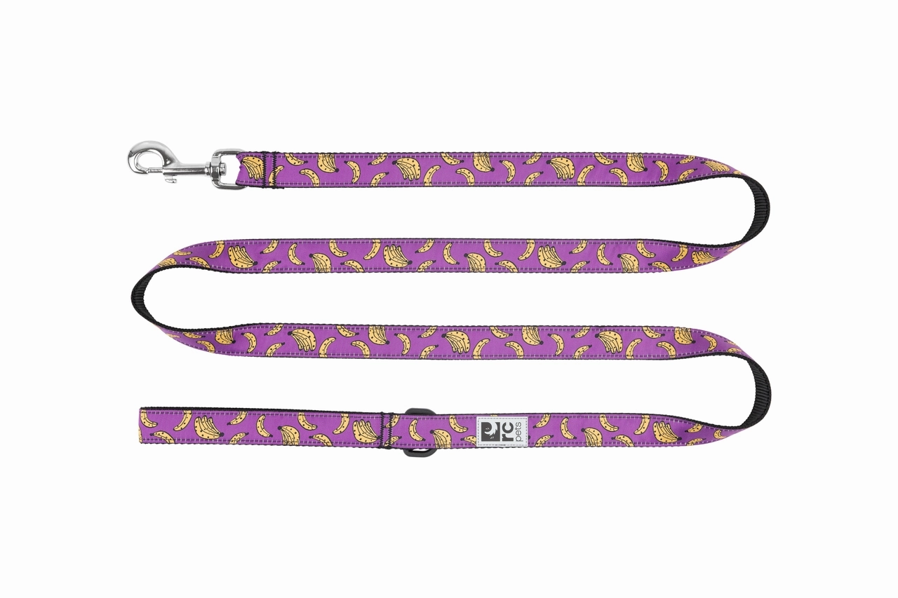 RC Pets Patterned Dog Leash 1"x6' - Bananas