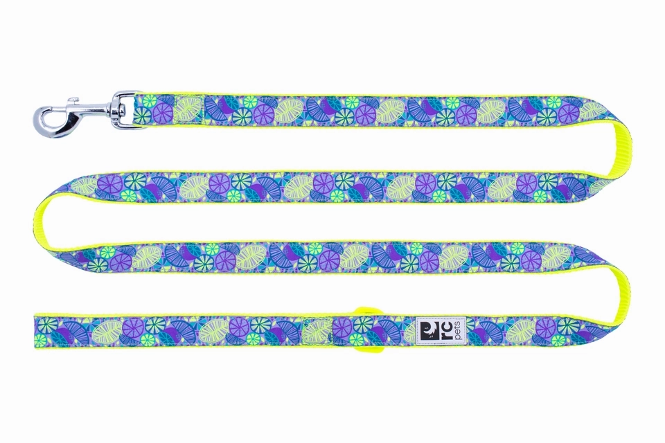 RC Pets Patterned Dog Leash 1"x6' - Citrus