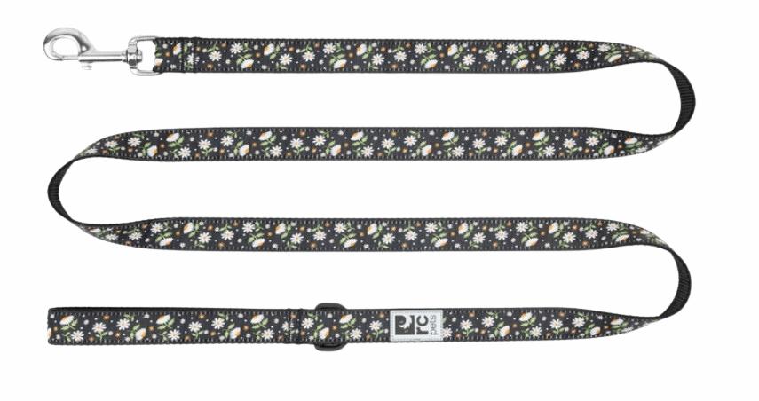 RC Pets Patterned Dog Leash 1"x6' - Daisies