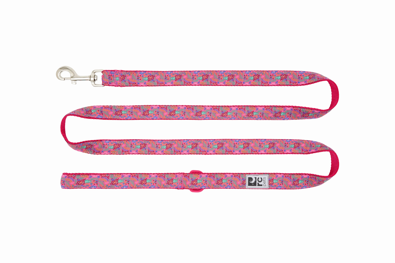 RC Pets Patterned Dog Leash 1"x6' - Frida